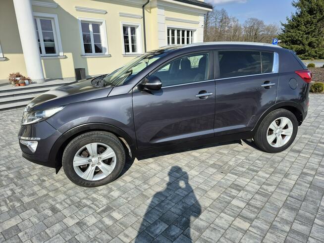 Kia Sportage 1.6 benzyna kamera ledy Drelów - zdjęcie 6