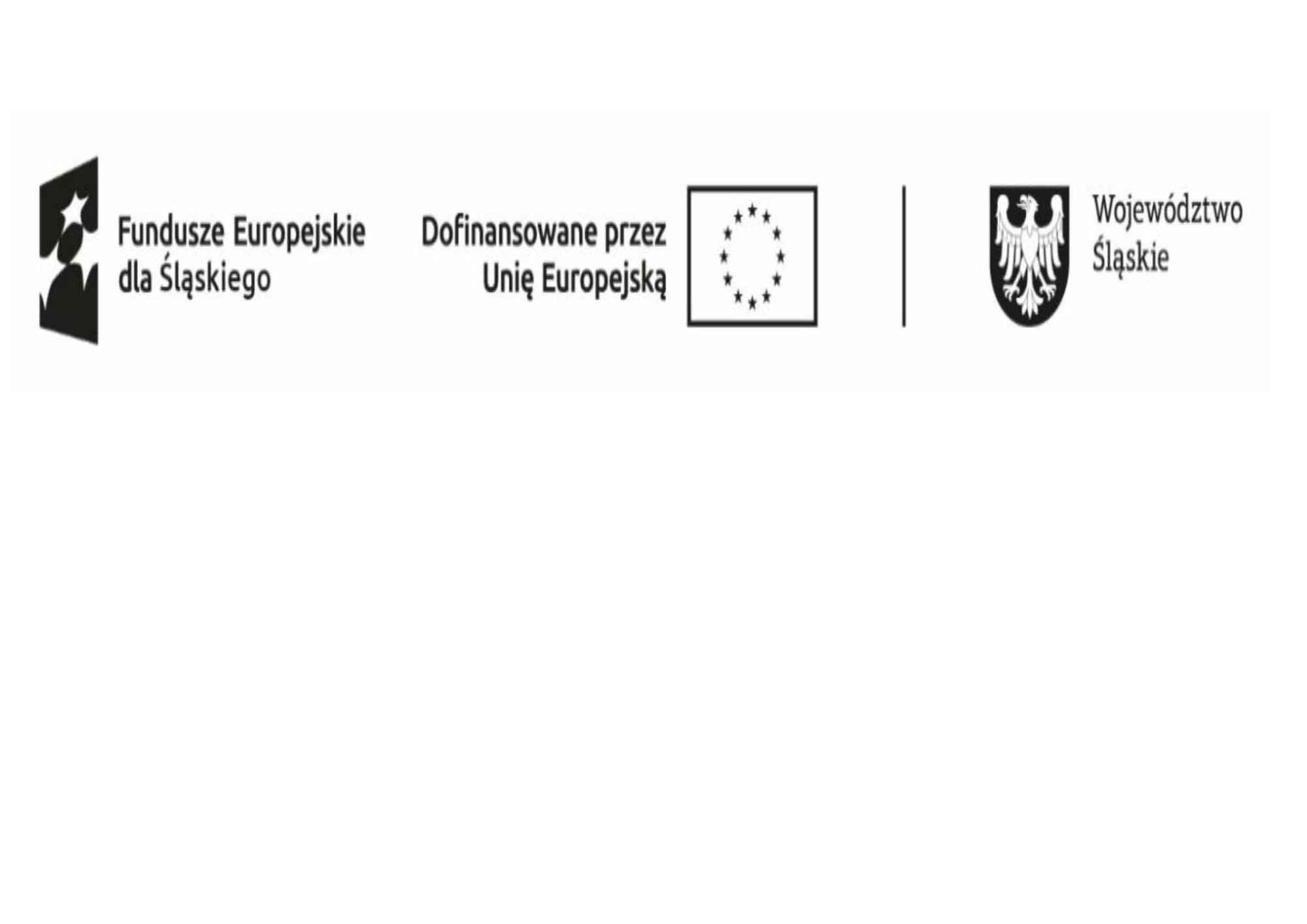 Rekrutacja dla osób zagrożonych wykluczeniem społecznym Będzin - zdjęcie 1