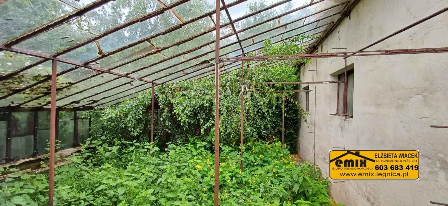 Działka budowlana niedaleko Złotoryi, Chojnowa i autostrady A4 Złotoryja - zdjęcie 6