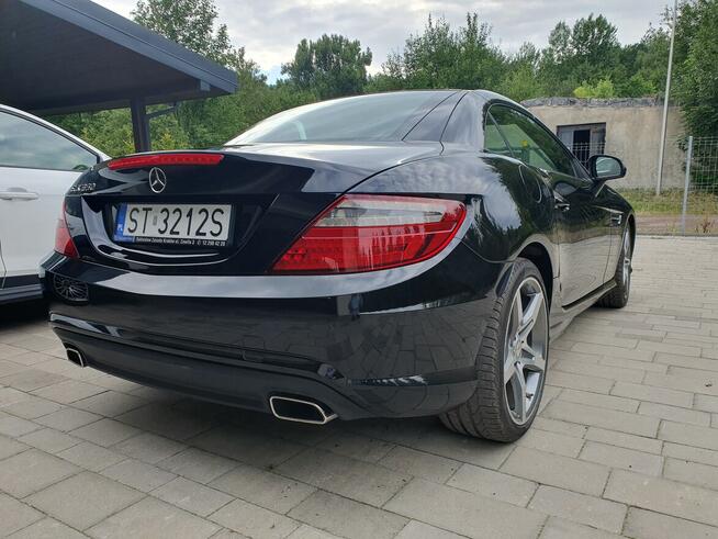 Mercedes-Benz SLK 350, salon PL, bezw. 14.000 km, pakiet AMG Katowice - zdjęcie 7
