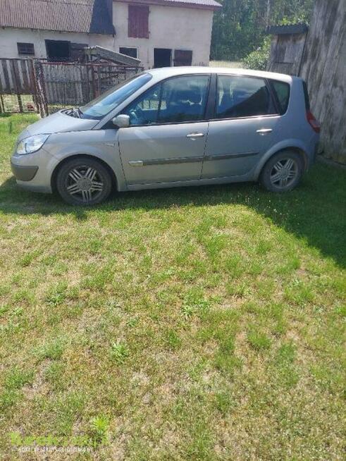 Renault Scenic 1.9 2004 Poroże - zdjęcie 3