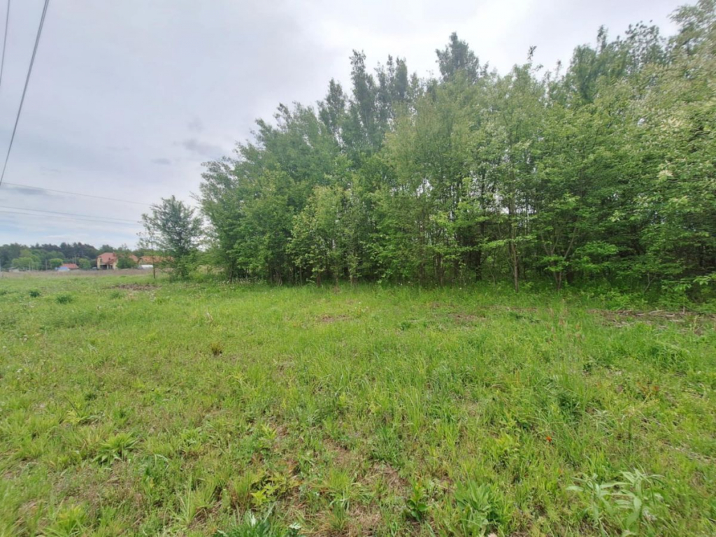 Twoje miejsce na dom marzeń/ Hryniewicze Hryniewicze - zdjęcie 4