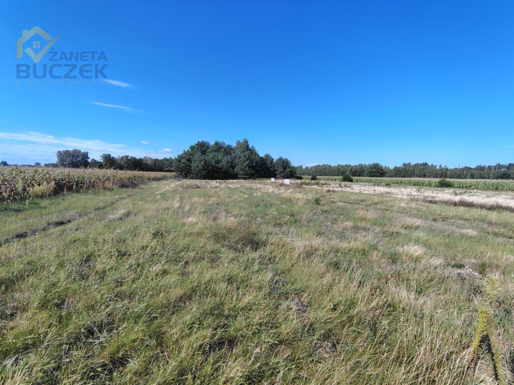 Atrakcyjna działka 1450 m² z MPZP | Dachowa | Dachowa - zdjęcie 5