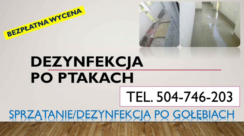 Czyszczenie po gołębiach, t. 504-746-203, sprzątanie ptasich odchodów Psie Pole - zdjęcie 4