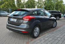 Hatchback GoldX 1,6 Benzyna 105KM ASO Forda Białystok - zdjęcie 8