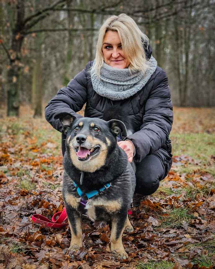 Stateczny, proludzki, bardzo kochany MADISON pilnie szuka domu! Rembertów - zdjęcie 2