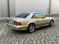 Mercedes SL 500 2000 SL500 pakiet AMG LIFT zarejestrowny LUXURYCLASSIC Koszalin - zdjęcie 3
