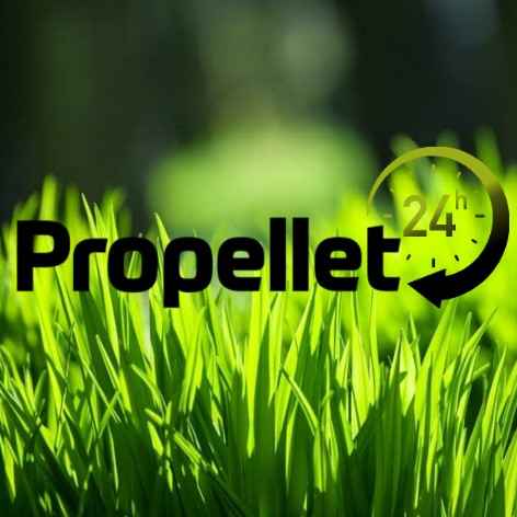 Pellet Barlinek 6mm 1t Propellet24 Opole ul. Wspólna 1 Opole - zdjęcie 2