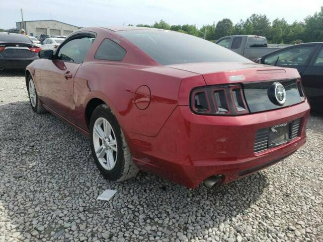 Ford Mustang 2014, 3.7L, po gradobiciu Warszawa - zdjęcie 3