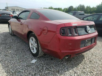 Ford Mustang 2014, 3.7L, po gradobiciu Warszawa - zdjęcie 3