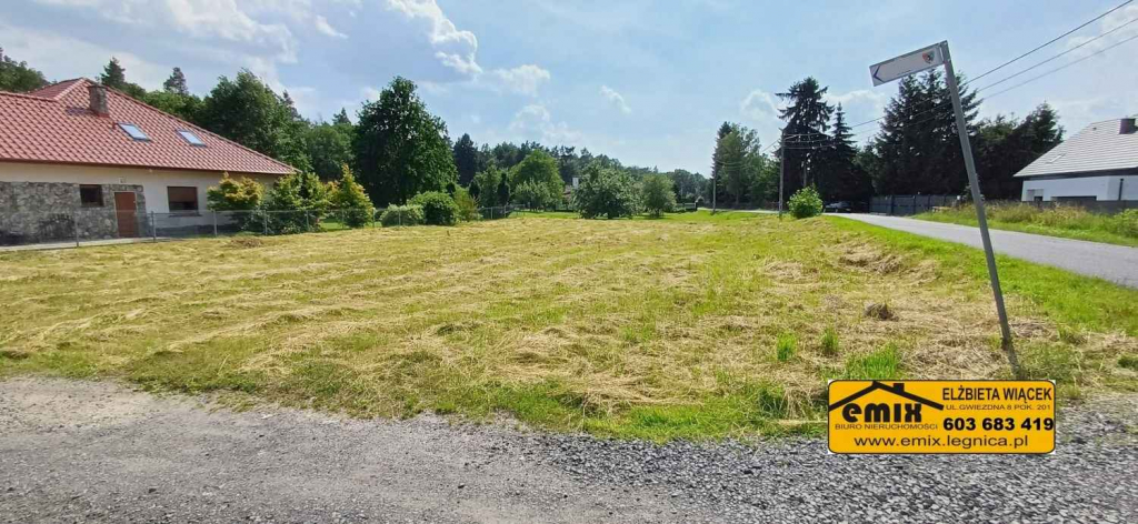 Działka budowlana 1400m2 za 140.000 zł. 5 km od Chojnowa Chojnów - zdjęcie 5