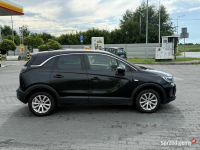 Opel Crossland 2021 Krosno - zdjęcie 7