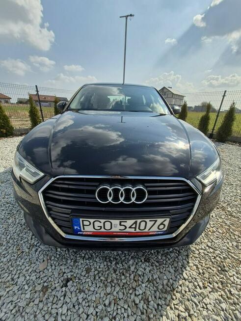 Audi A3 Grodzisk Wielkopolski - zdjęcie 2