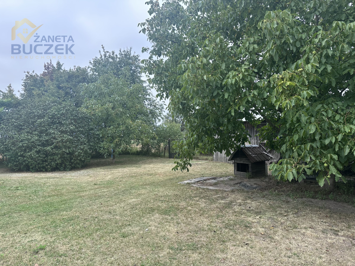 Działka rolna z budynkami - Pasikonie gm.Kampinos Pasikonie - zdjęcie 1