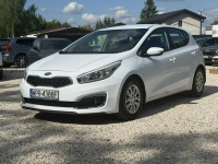 Kia Cee'd 1.4 100kM Salon Polska ! Bardzo dobry stan ! VAT 23% ! Pęcice - zdjęcie 7