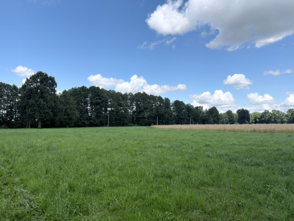Działka z MPZP w Paproci koło Nowego  Tomyśla Paproć - zdjęcie 2