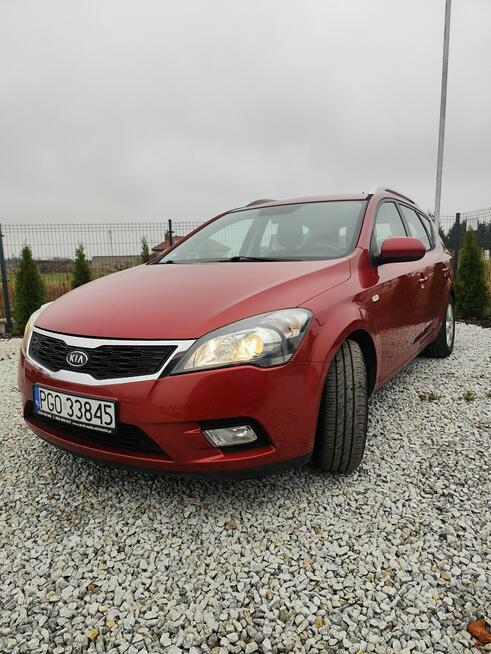 Kia Cee&#039;d 1.6 Benzyna &quot;Raty&quot; Grodzisk Wielkopolski - zdjęcie 6