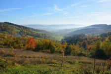 Działka Wojakowa bez pośredników – 68 arów rolno-inwestycyjna, 198tys. Wojakowa - zdjęcie 3