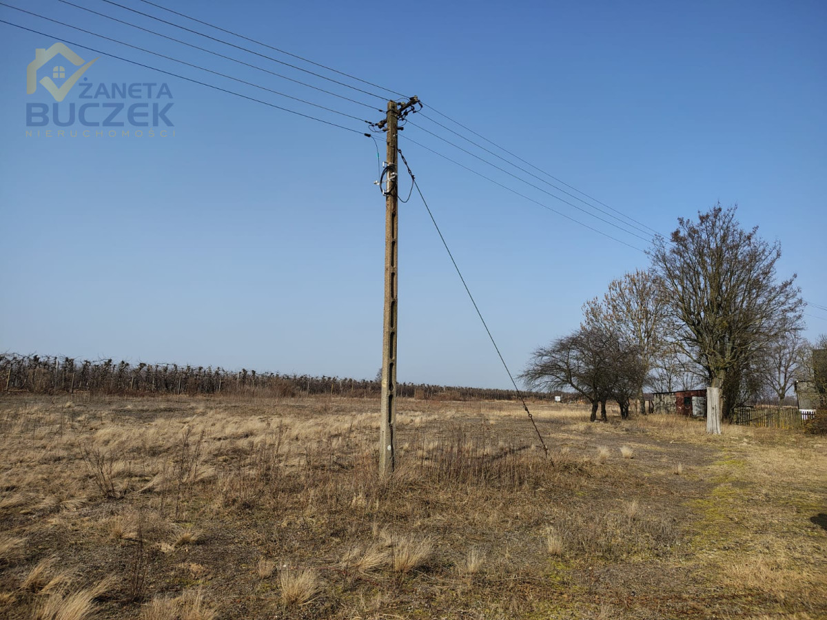 Sprzedam działki rolne o pow. 4029 w Skarbikowie Skarbikowo - zdjęcie 2