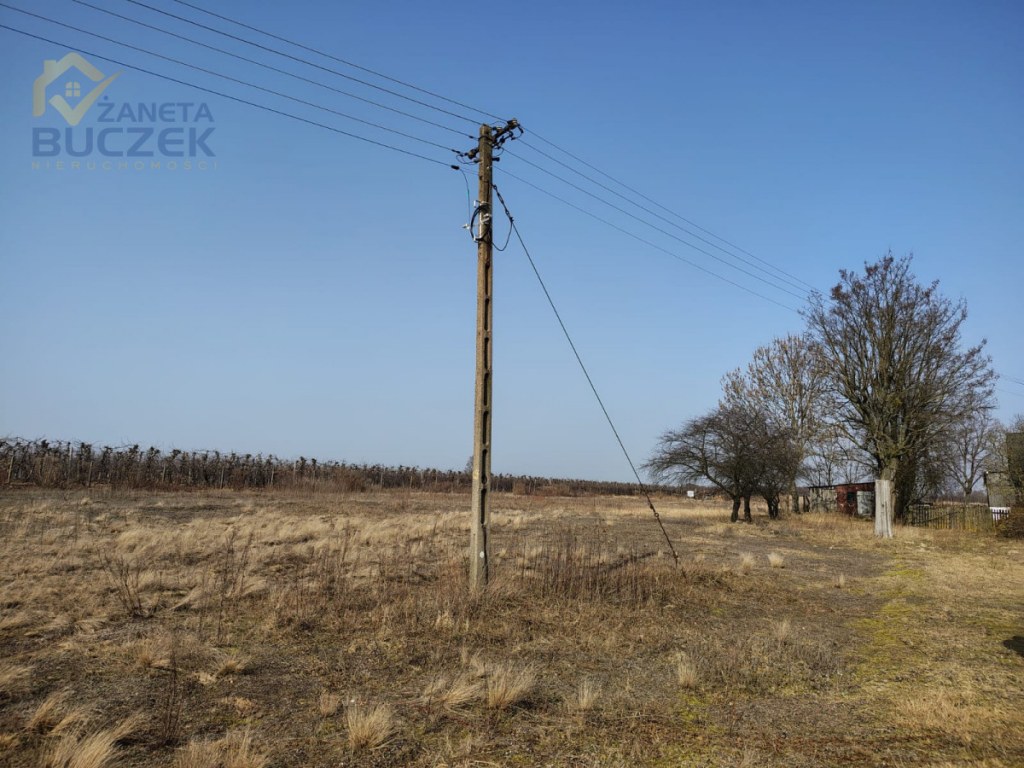 Sprzedam działki rolne o pow. 4029 w Skarbikowie Skarbikowo - zdjęcie 2