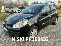 Renault Clio Tylko 96 tyś km Nowe Iganie - zdjęcie 1