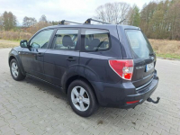 Subaru Forester Zieleniewo - zdjęcie 6