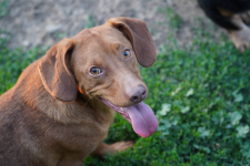 Kuba - wulkan energi szukający swojego miejsca na ziemi