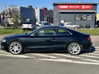 Audi A5 Coupe 2009 2.7 TDI multitronic 190 KM. Krosno - zdjęcie 3