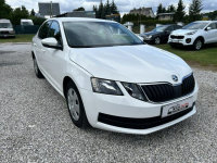 Škoda Octavia Super stan, zarejestrowany w Polsce Nowe Iganie - zdjęcie 3