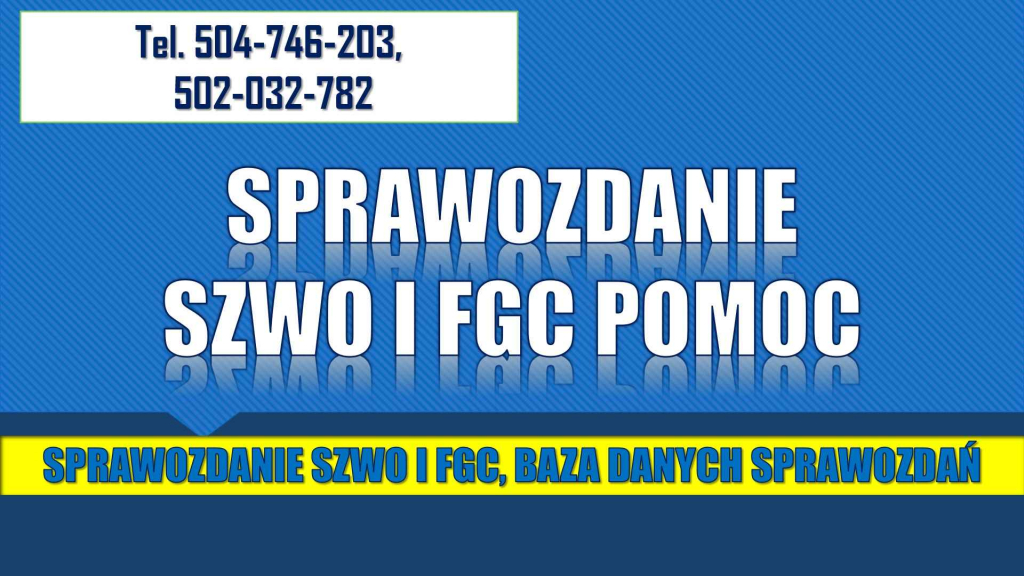 Jak wypełnić sprawozdanie SZWO i FGC, tel. 504-746-203, fgazy i BDS Psie Pole - zdjęcie 3