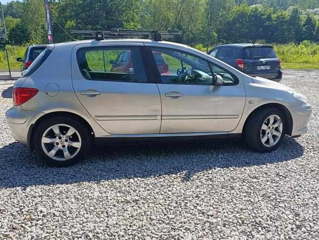 Peugeot 307 Krajowy, benzyna 1.6, klimatyzacja Dulowa - zdjęcie 7