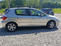Peugeot 307 Krajowy, benzyna 1.6, klimatyzacja Dulowa - zdjęcie 7
