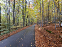 Działka Wojakowa bez pośredników – 68 arów rolno-inwestycyjna, 198tys. Wojakowa - zdjęcie 2