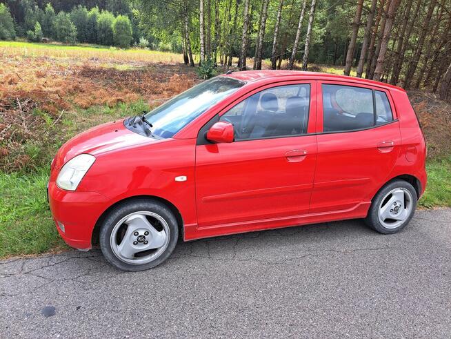 Kia Picanto Włoszczowa - zdjęcie 11
