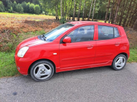 Kia Picanto Włoszczowa - zdjęcie 11