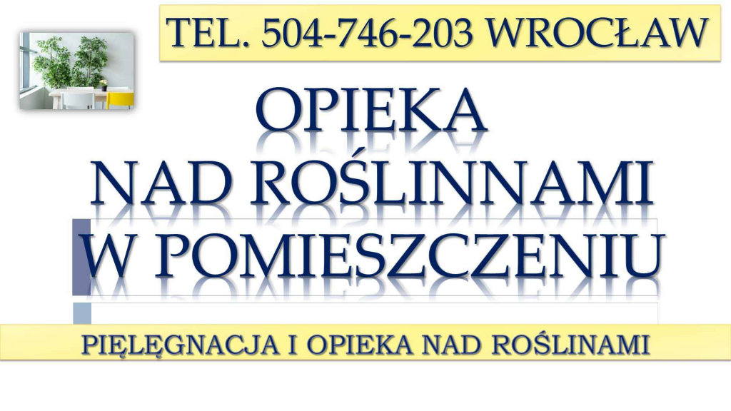 Opieka nad roślinami w biurze, Wrocław, tel 504-746-203, cennik usługi Psie Pole - zdjęcie 4