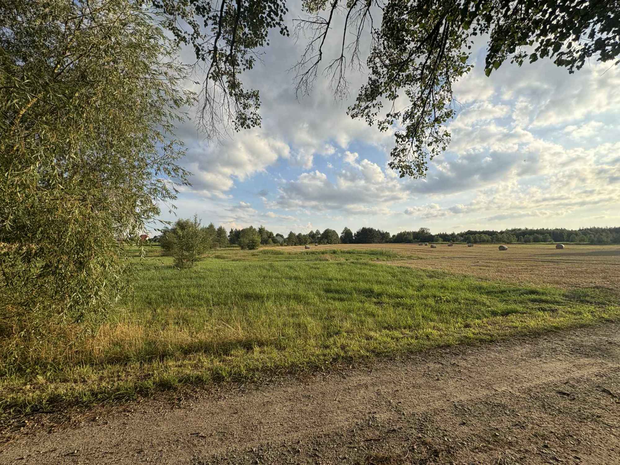 Sprzedam działkę Kozłówka - zdjęcie 2