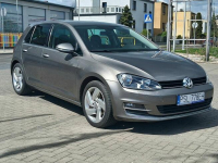 Volkswagen Golf 1.6 TDI 110KM Allstar Klimatronic Kamera Nav