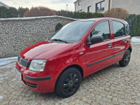 Fiat Panda Siewierz - zdjęcie 2