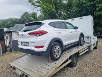 Hyundai Tucson Salon PL - I WŁ - Comfort Szczecin - zdjęcie 3
