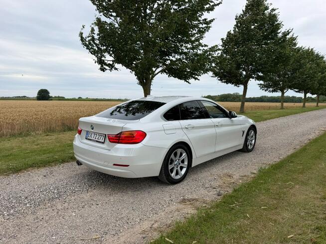 BMW 420 Sadlno - zdjęcie 6