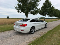 BMW 420 Sadlno - zdjęcie 6