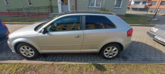 Audi A3 8P 1.6 TDI 2010 Nysa - zdjęcie 9