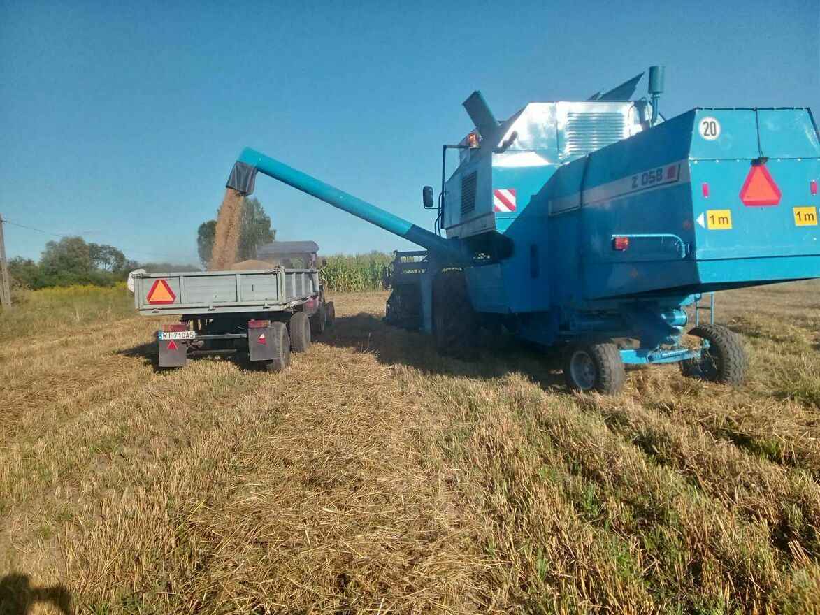 Sprzedam Bizon Rekord Siedlce - zdjęcie 5