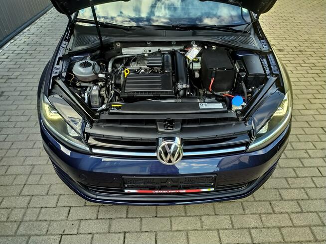 Volkswagen Golf 1.4 TSI  DSG Full Led Navi Radar Hak  Zarejestrowany Strzała - zdjęcie 11