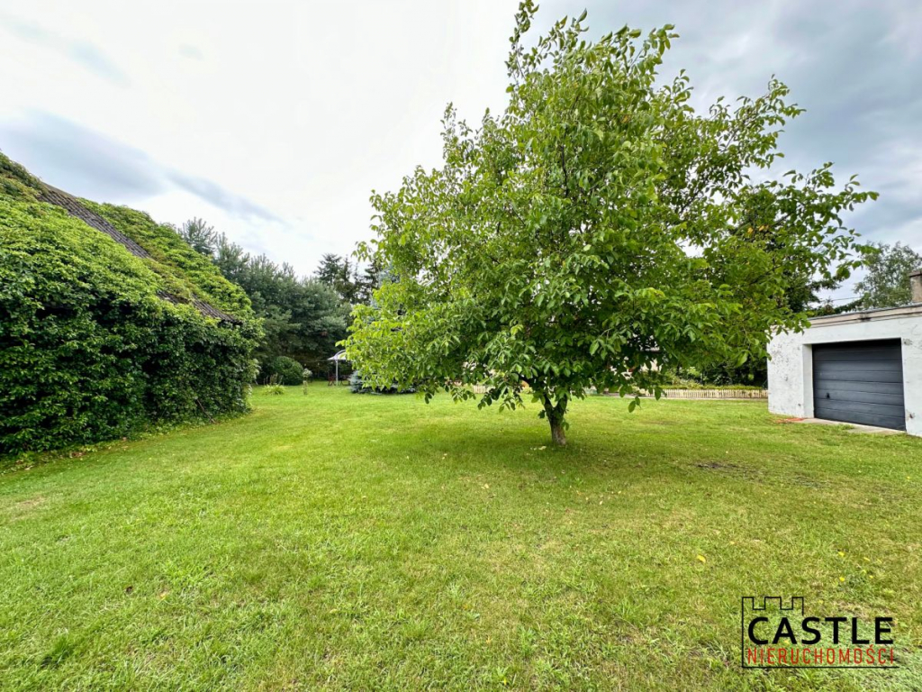 Twój azyl w sercu natury – siedlisko z domem . Krajkowo - zdjęcie 4