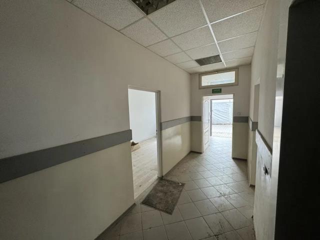 Lokal na wynajem Nowe Lipiny Nowe Lipiny - zdjęcie 4