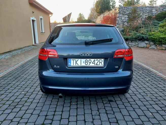 Audi A3 Lift 1.6 SR 102 KM Serwis Zagnańsk - zdjęcie 5