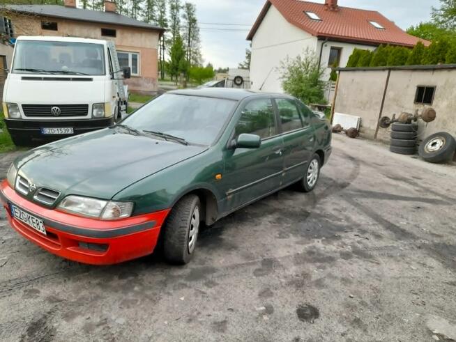 Nissan Primera*1997 r*1,6 Bez+Gaz*Waż Oce i Prz Tech*Zamiana Zduńska Wola - zdjęcie 4