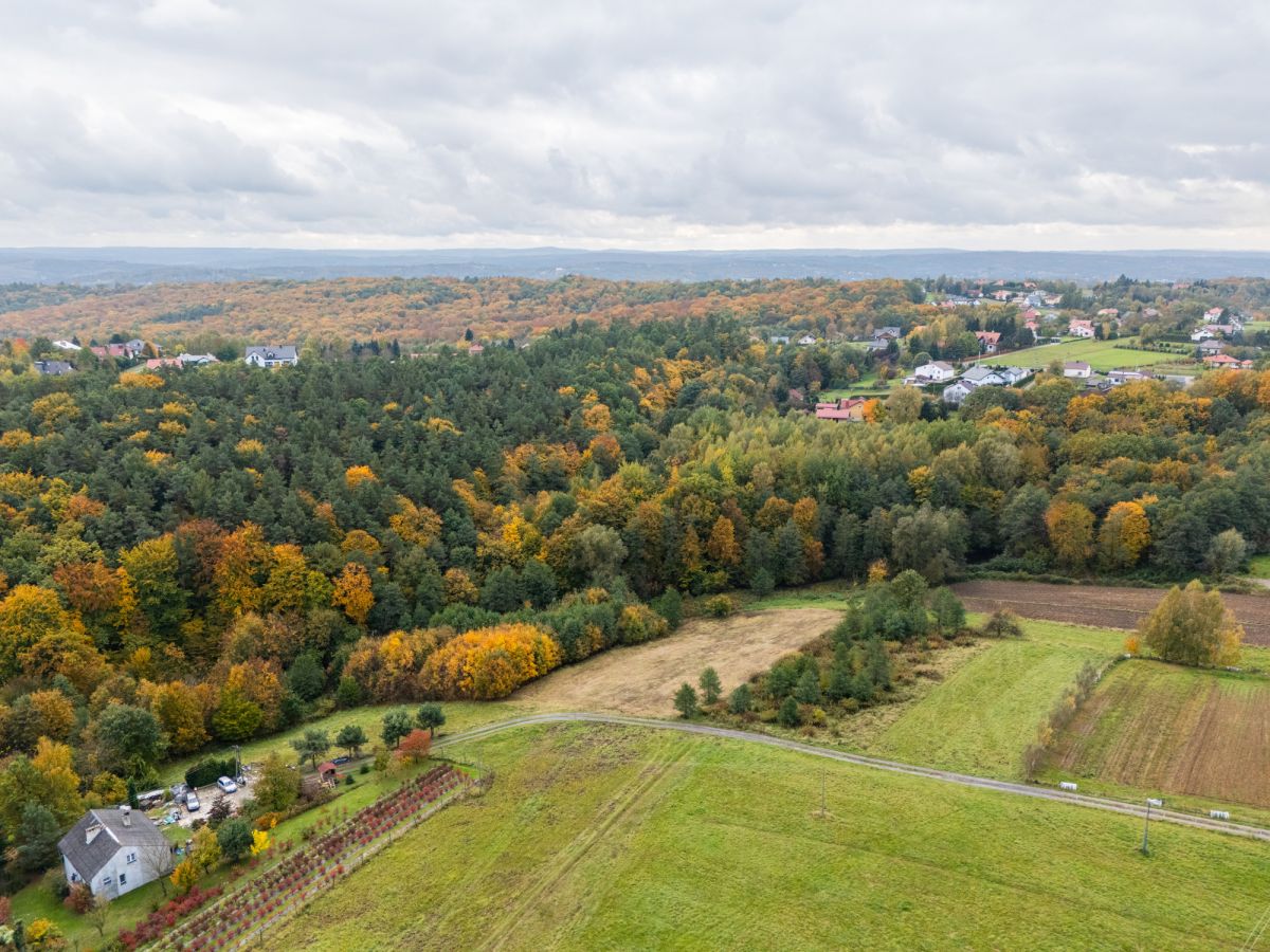 Działka pod lasem 16,80 ar z warunkami zabudowy Rzeszów - zdjęcie 3
